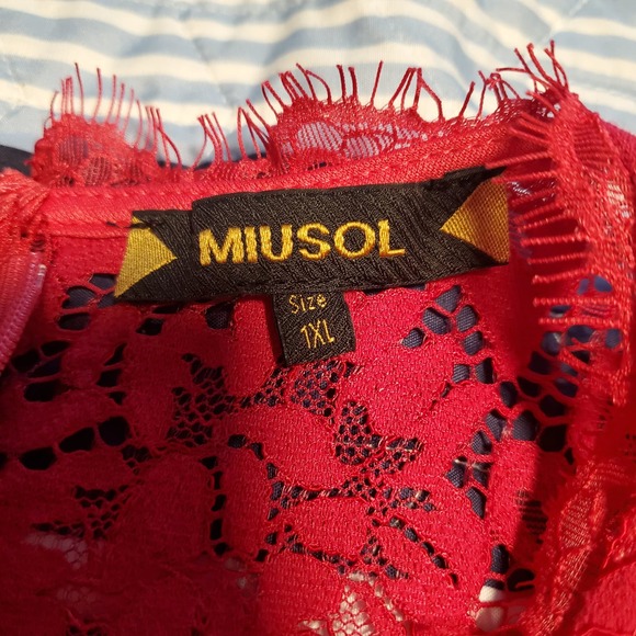 Miusol Size L Raspberry Pink Lace Zip up Sheath Dress TINY FLAW (marked 1X) - Picture 10 of 13